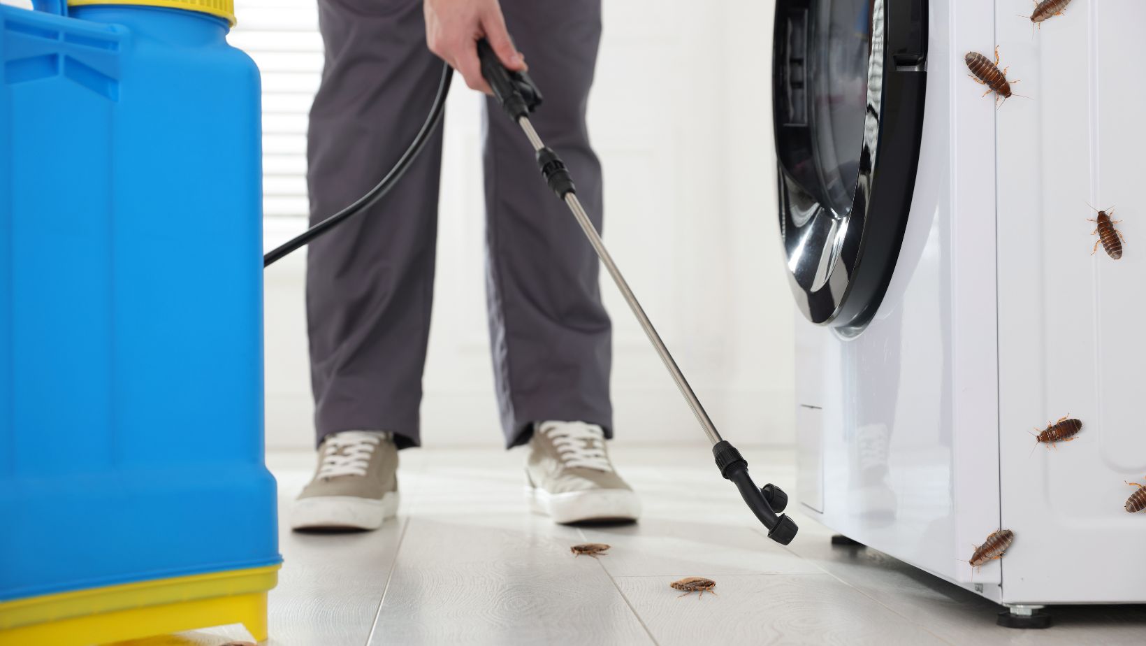 매장 방역 현장 작업 소독 서비스