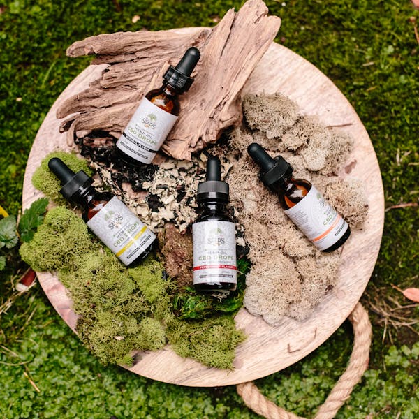 아르간 Argan
