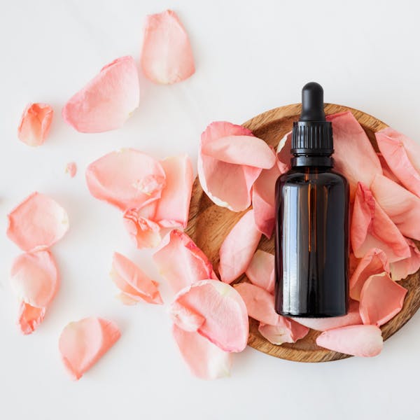호호바씨 Jojoba